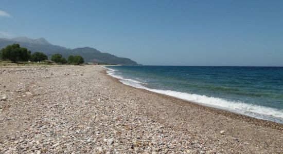 Petalides beach II