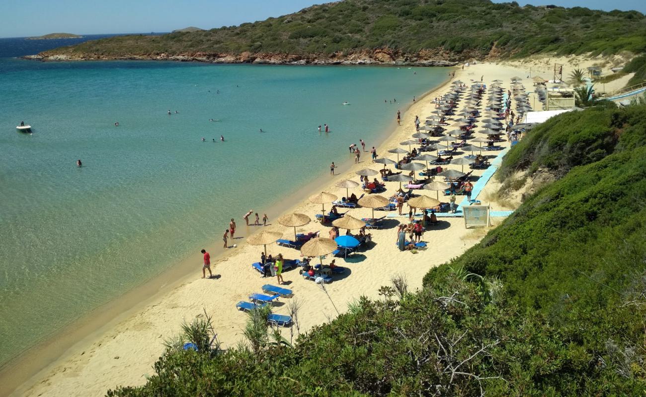 Foto af Gylden sandStrand med lys sand overflade