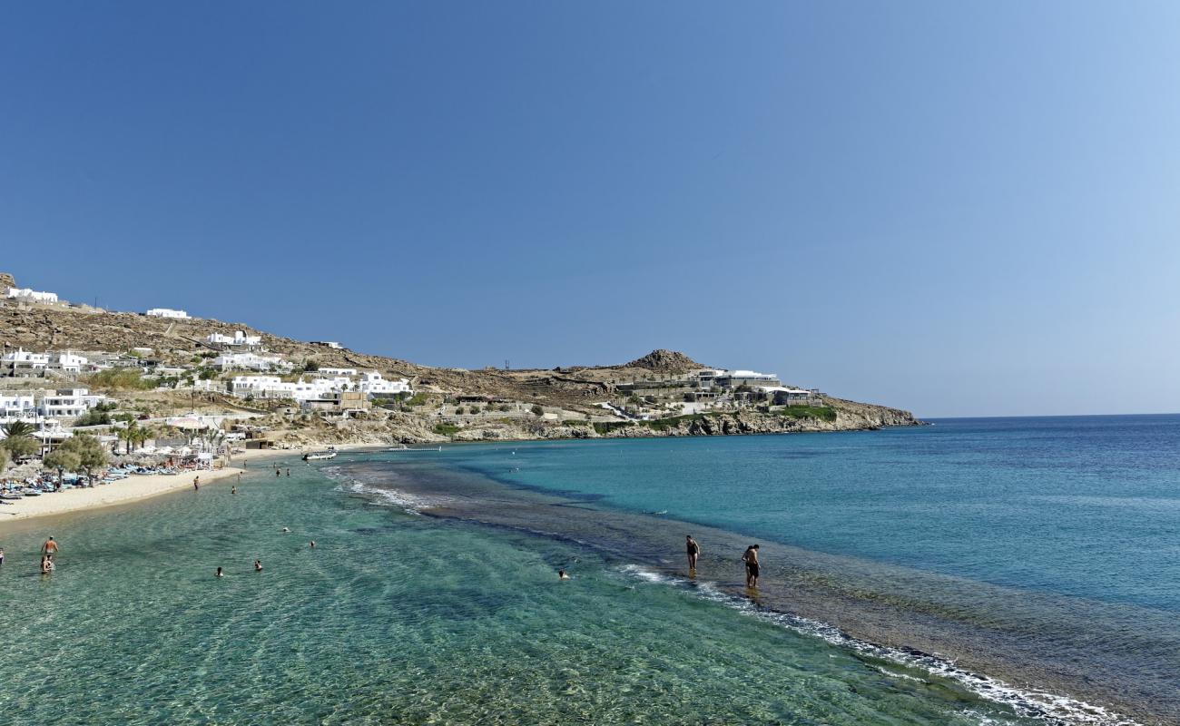 Foto af Paradise Strand med brunt sand overflade