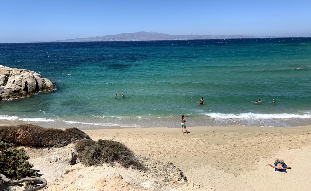 Foto af Hawaii Strand med lys fint sand overflade