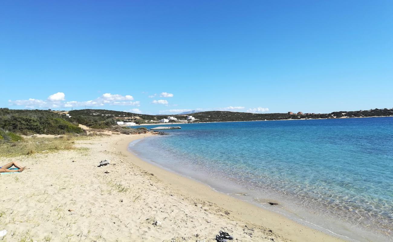 Foto af Dionisos beach med lys fint sand overflade