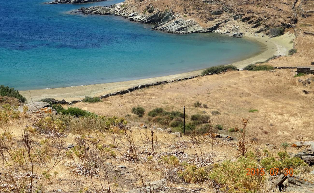 Foto af Apigania paralia med lys sand overflade