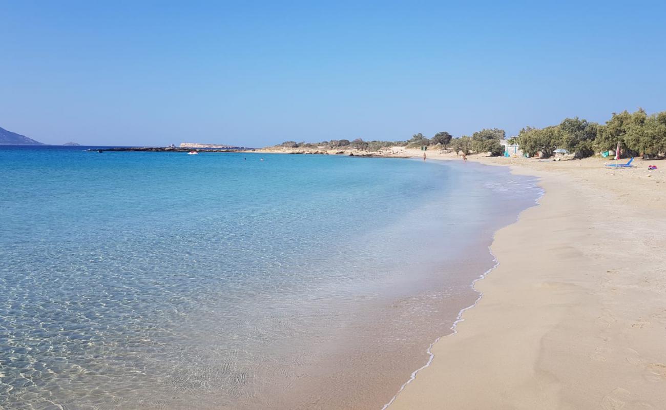 Foto af Fanos beach med lys sand overflade