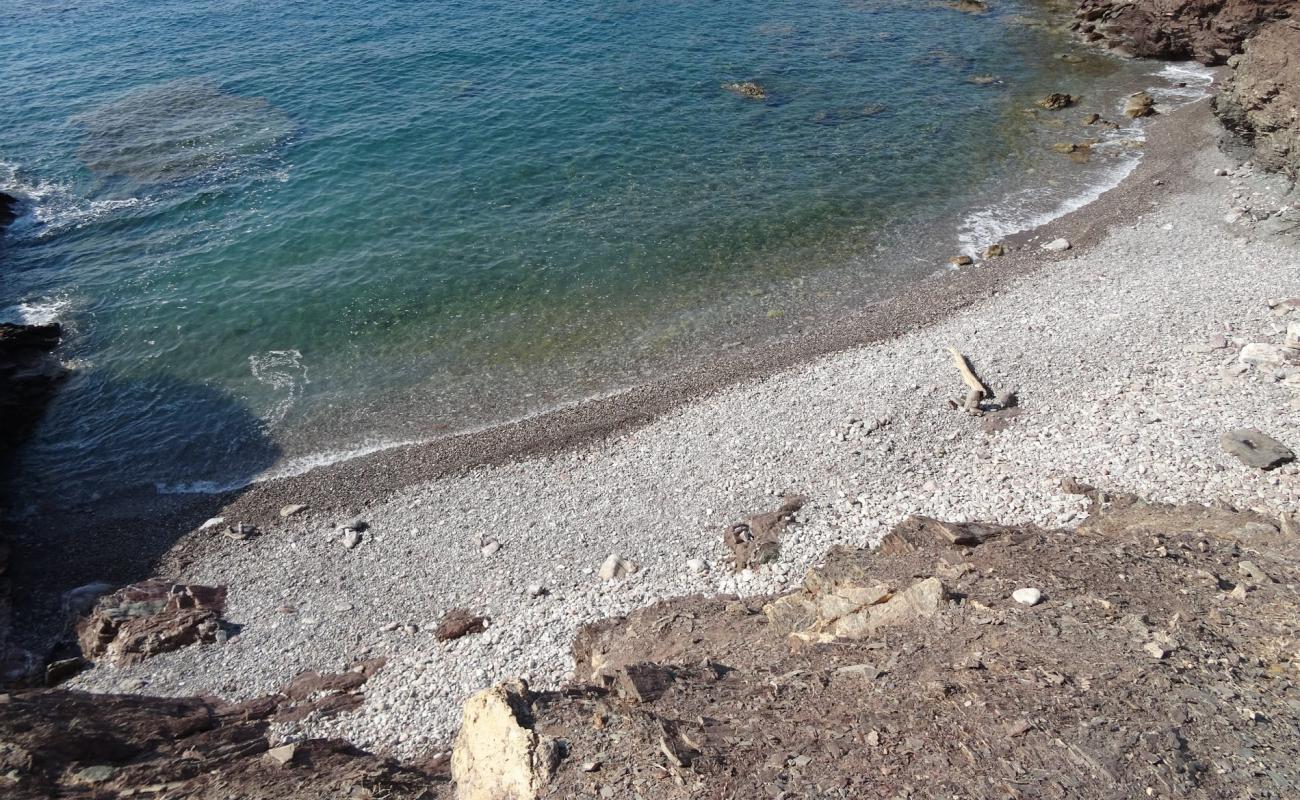 Foto af Hammam beach med grå sten overflade