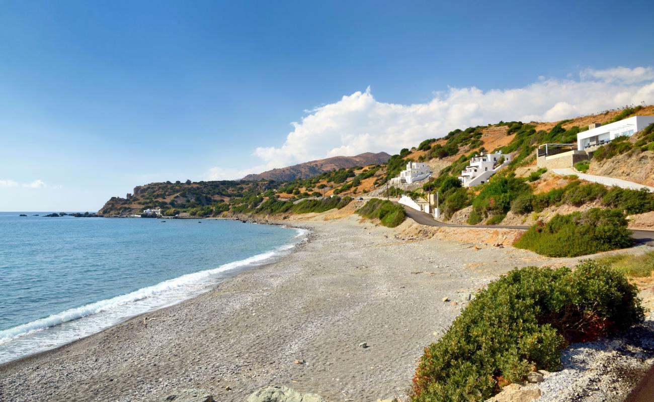 Foto af Podare beach med grå sten overflade