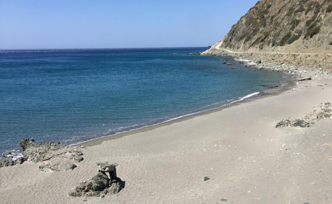 Foto af East beach med grå sten overflade