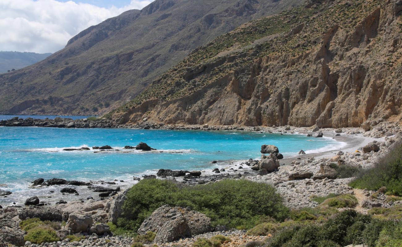 Foto af Enclosures beach med grå sten overflade