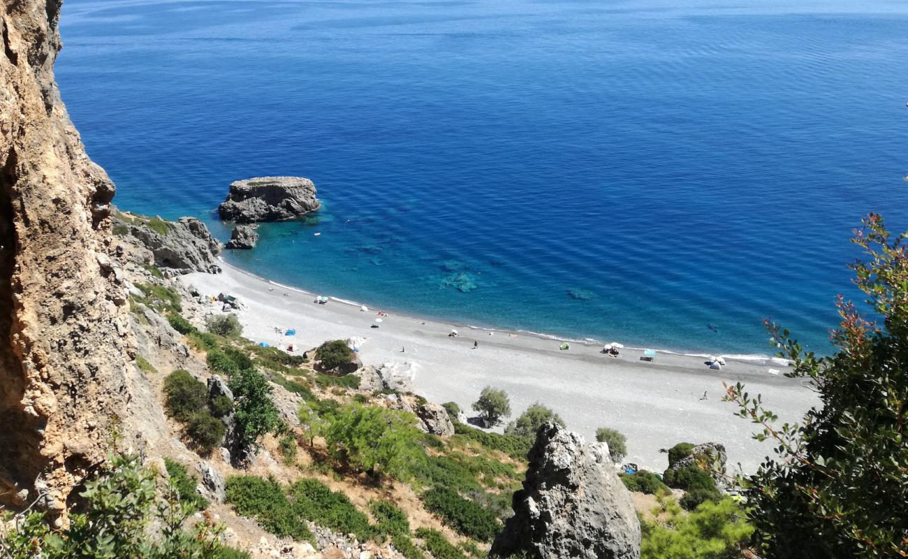 Foto af Sougia beach med grå sten overflade