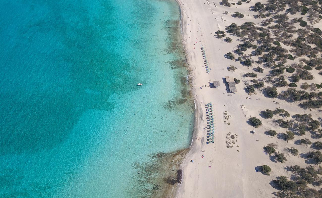 Foto af Gylden Strand med lys fint sand overflade