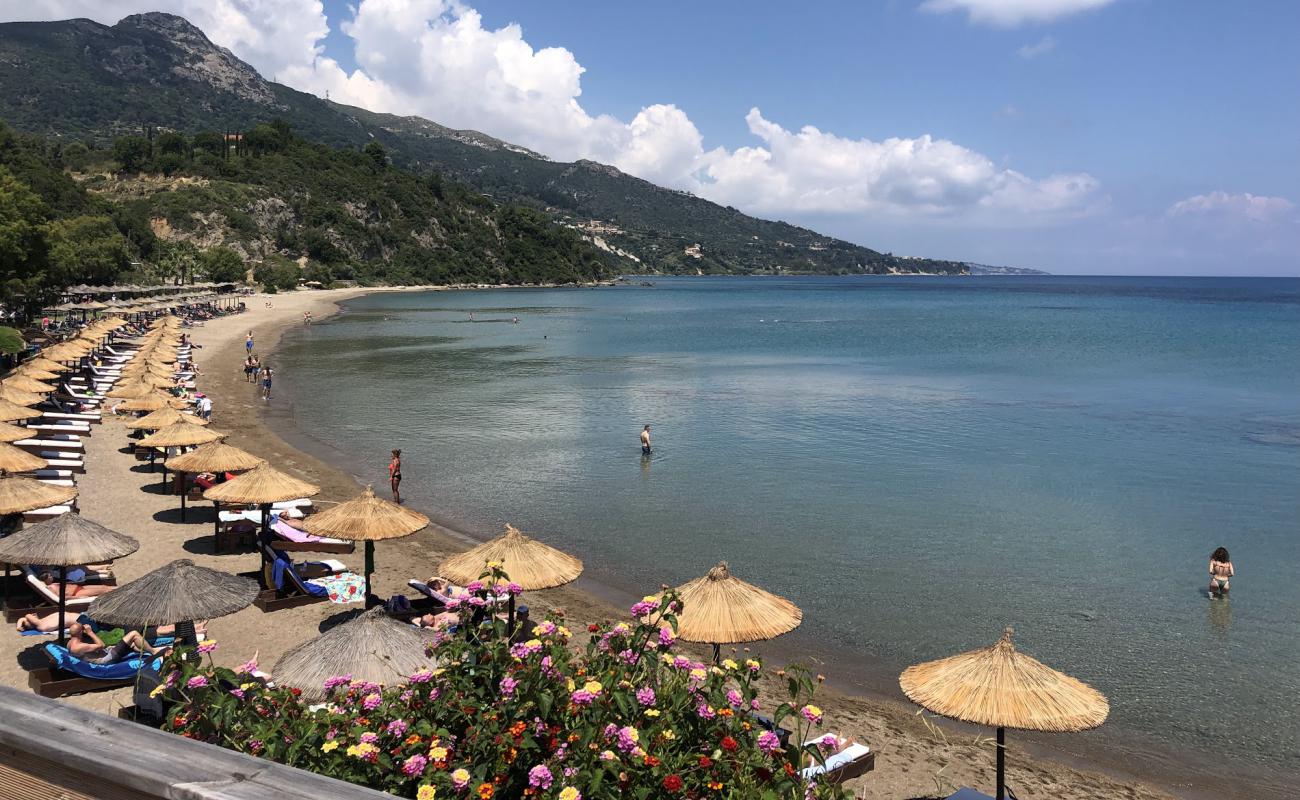 Foto af Porto Zorro Beach med lys sand overflade