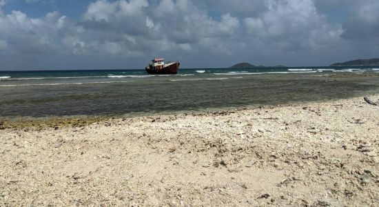 Petit Carenage beach