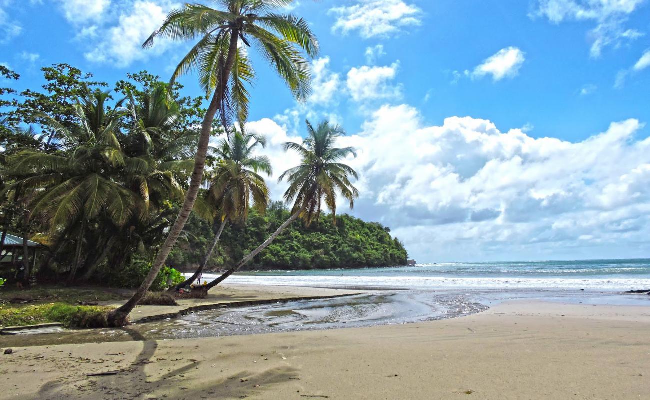 Foto af La Sagesse beach med lys fint sand overflade