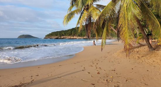 Plage de la Perle