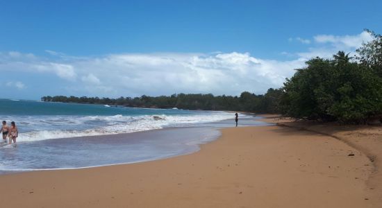 Plage de Cluny II