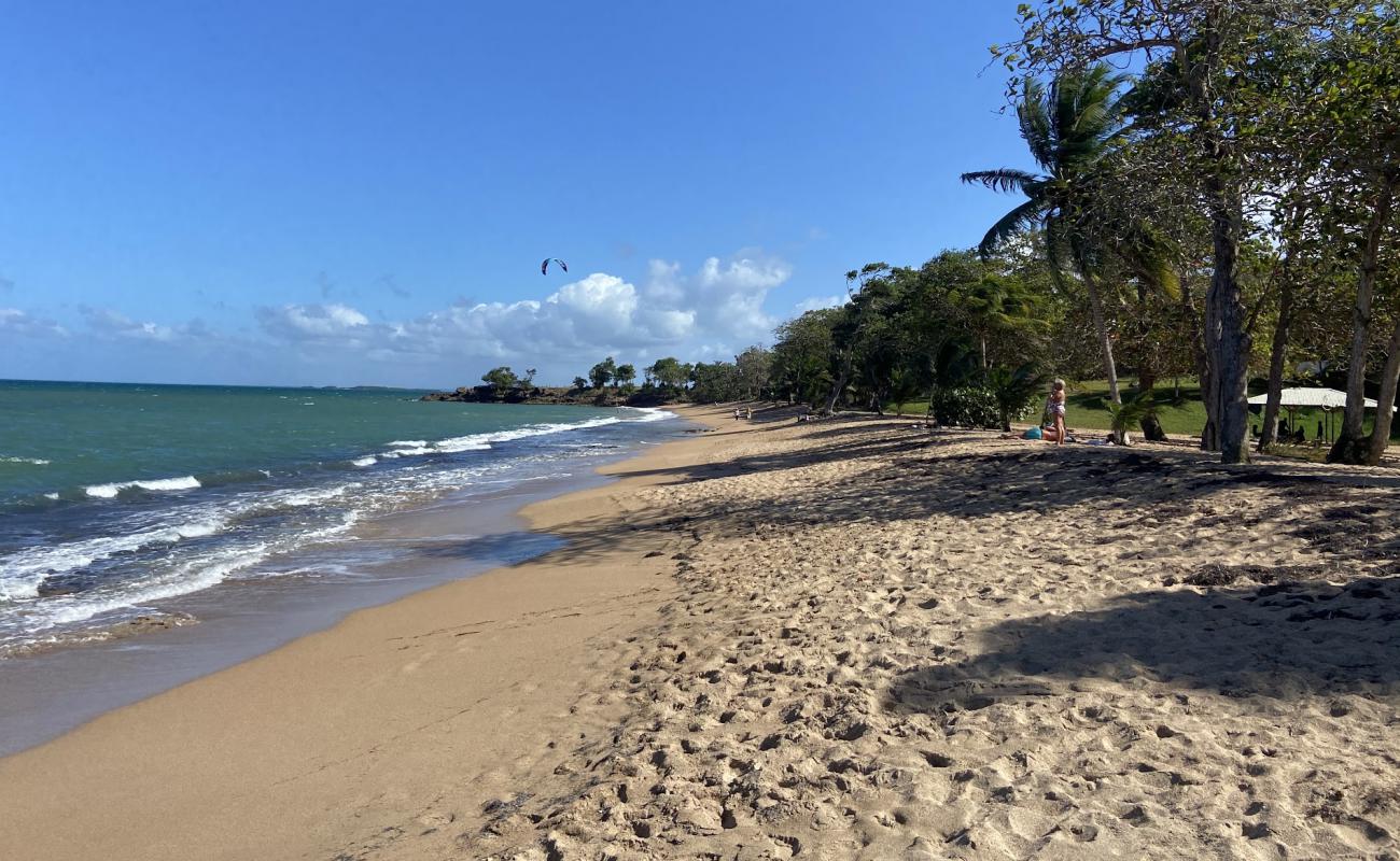 Foto af Plage des Amandiers med fin brunt sand overflade