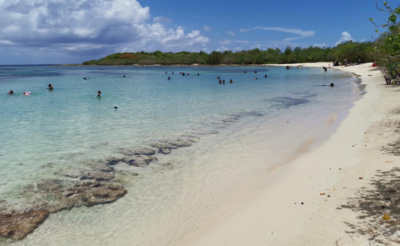 Foto af Plage d'Antigues med lys fint sand overflade