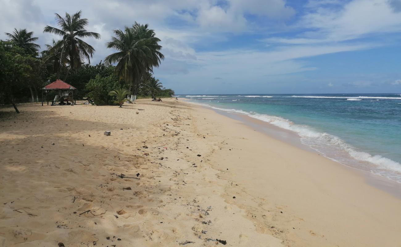 Foto af Plage de la chapelle med lys fint sand overflade