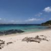 Pointe Tarare - Plage Naturiste