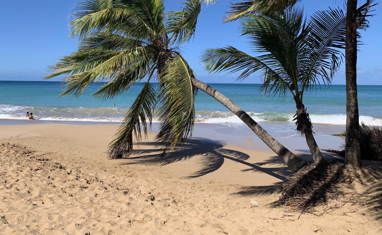 Foto af Plage de la Caravelle med lys sand overflade