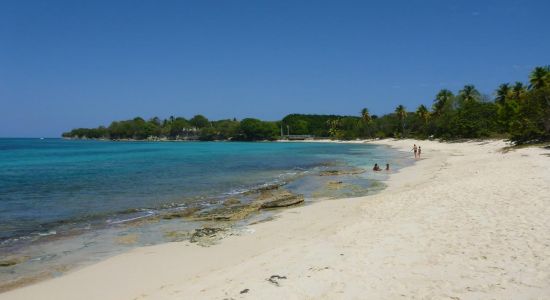 Plage du Vieux Fort