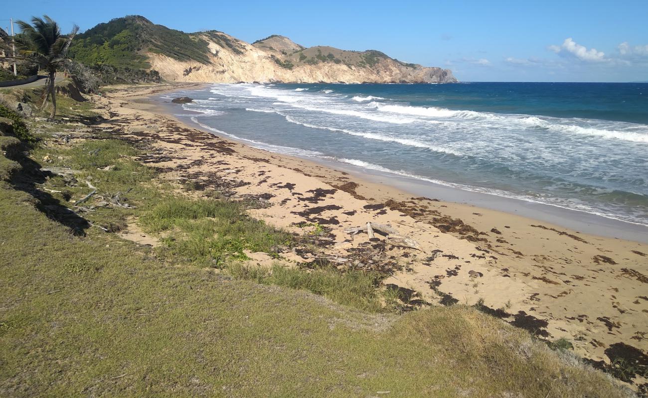 Foto af Plage de Grande Anse med lys sand overflade