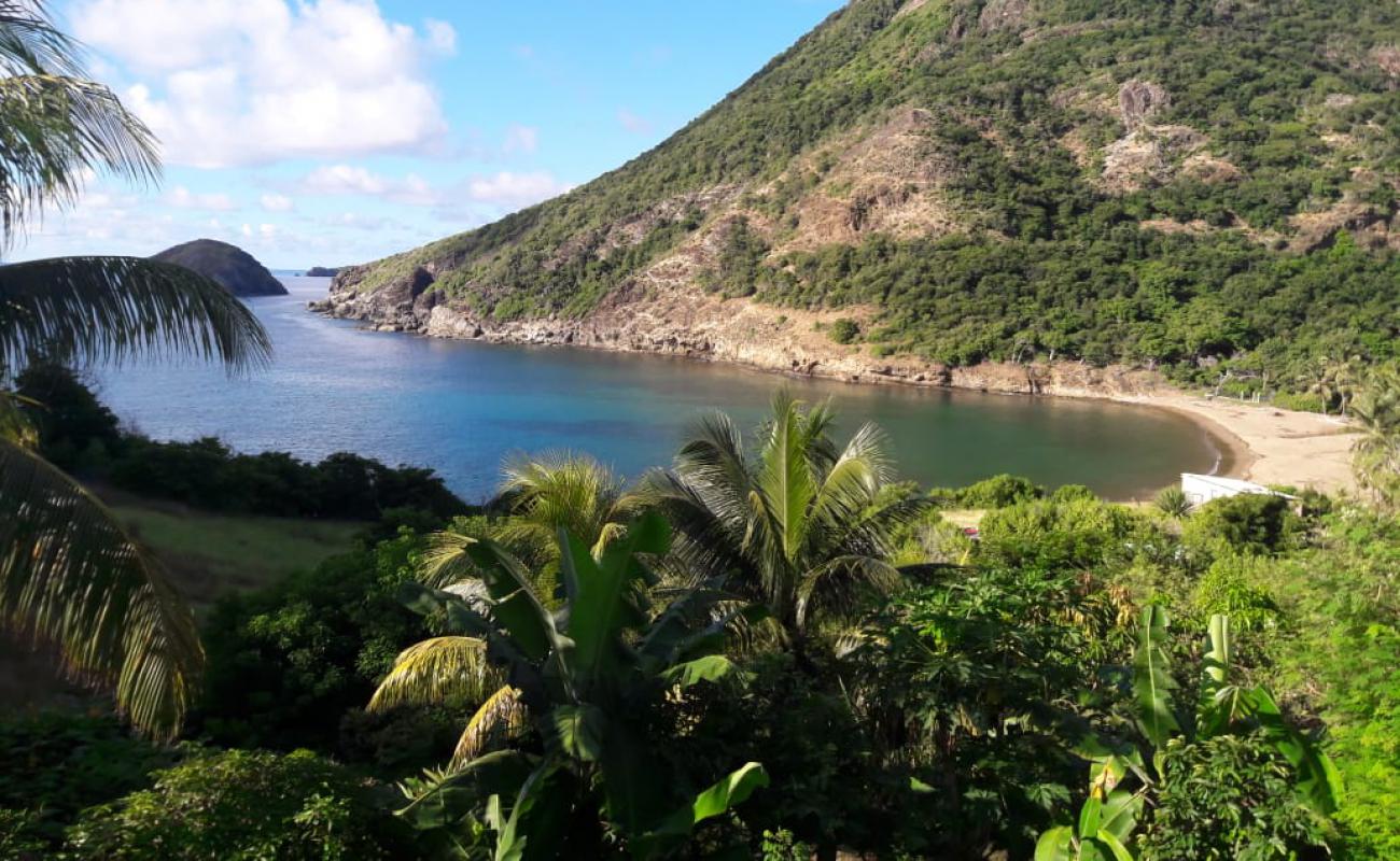 Foto af Plage de l'anse figuier med lys sand overflade