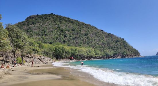 Plage de l'Anse Crawen