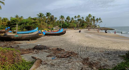 Thattukadavu Beach