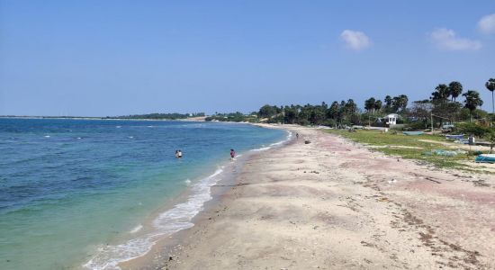 Ocean Paradise Beach