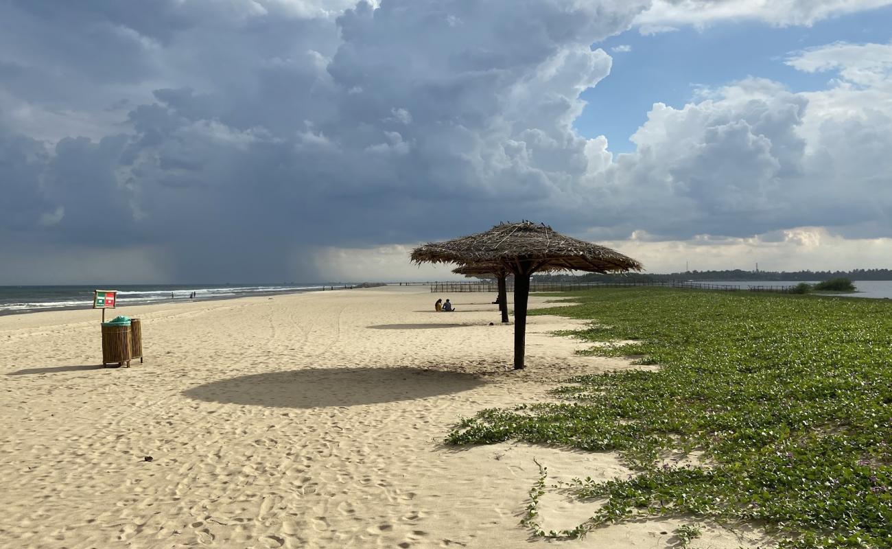 Foto af Eden Beach med lys fint sand overflade