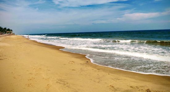 Auroville Beach