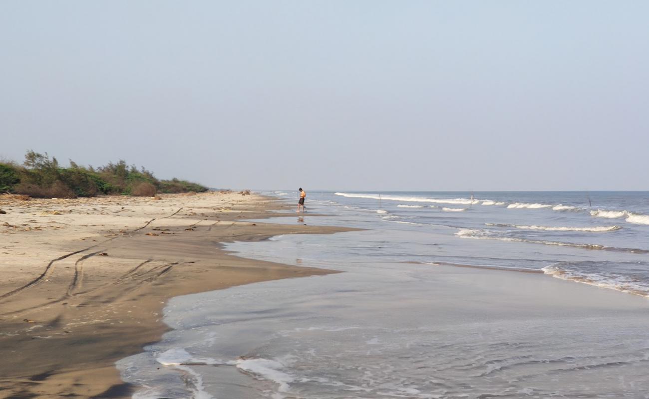 Foto af Lonely Beach med lys sand overflade