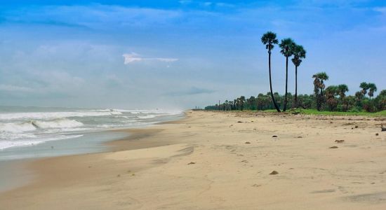 Odalarevu Beach