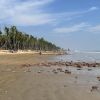 Tajpur Beach