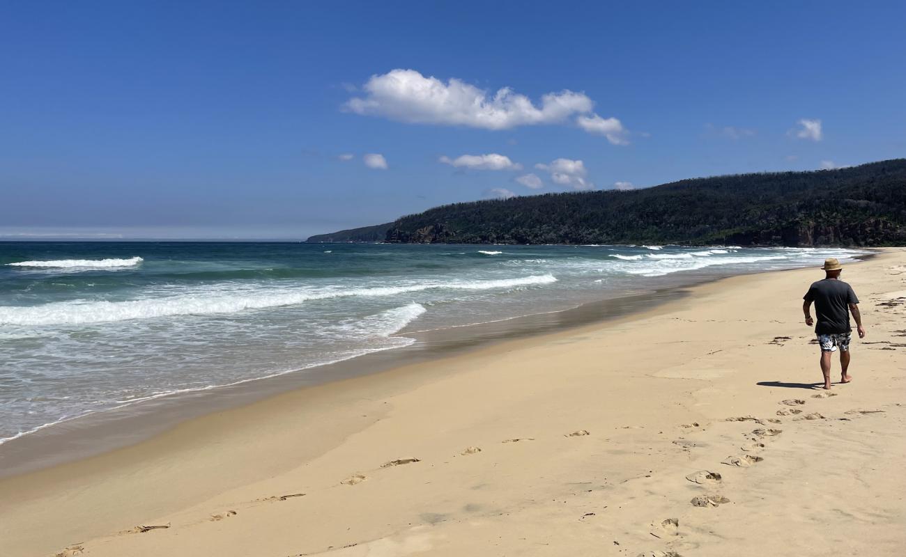 Foto af Wonboyn Beach med lys sand overflade