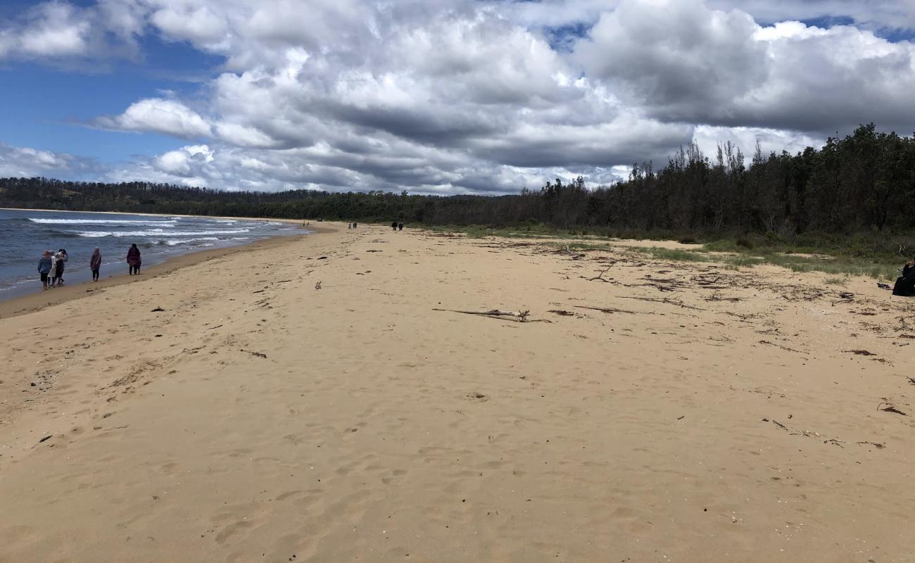 Foto af Boydtown Beach med lys sand overflade