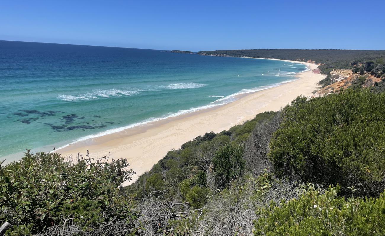 Foto af Pinnacles Beach med lys sand overflade