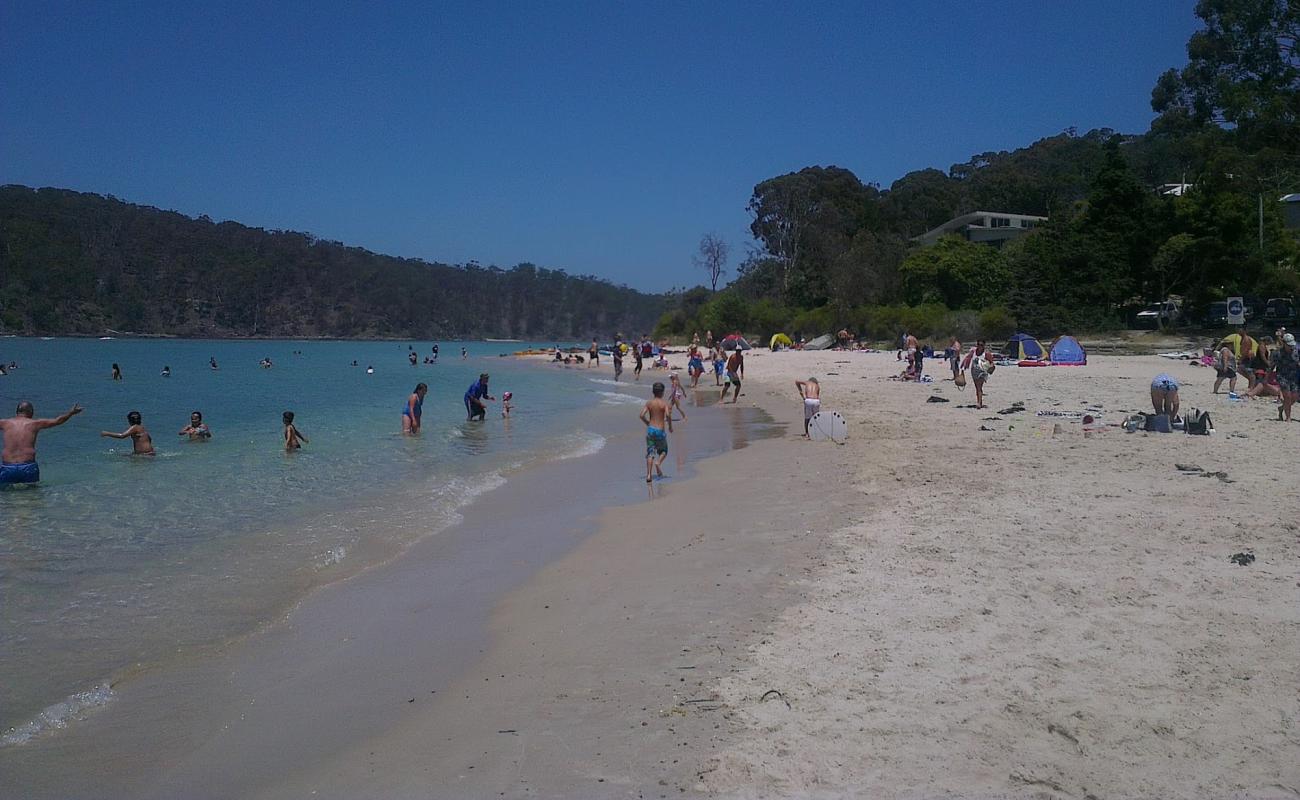 Foto af Pambula Beach med lys sand overflade