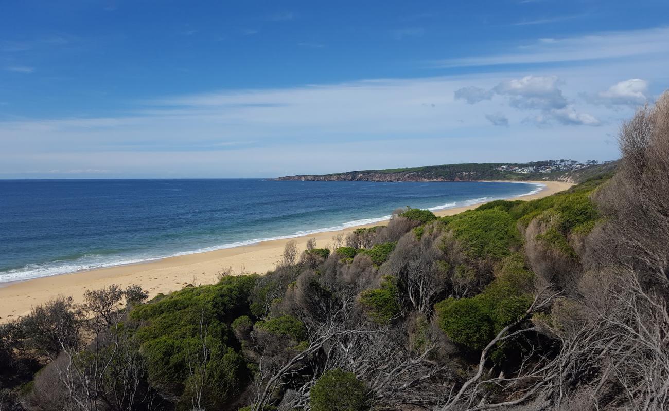 Foto af Bournda Beach med lys sand overflade