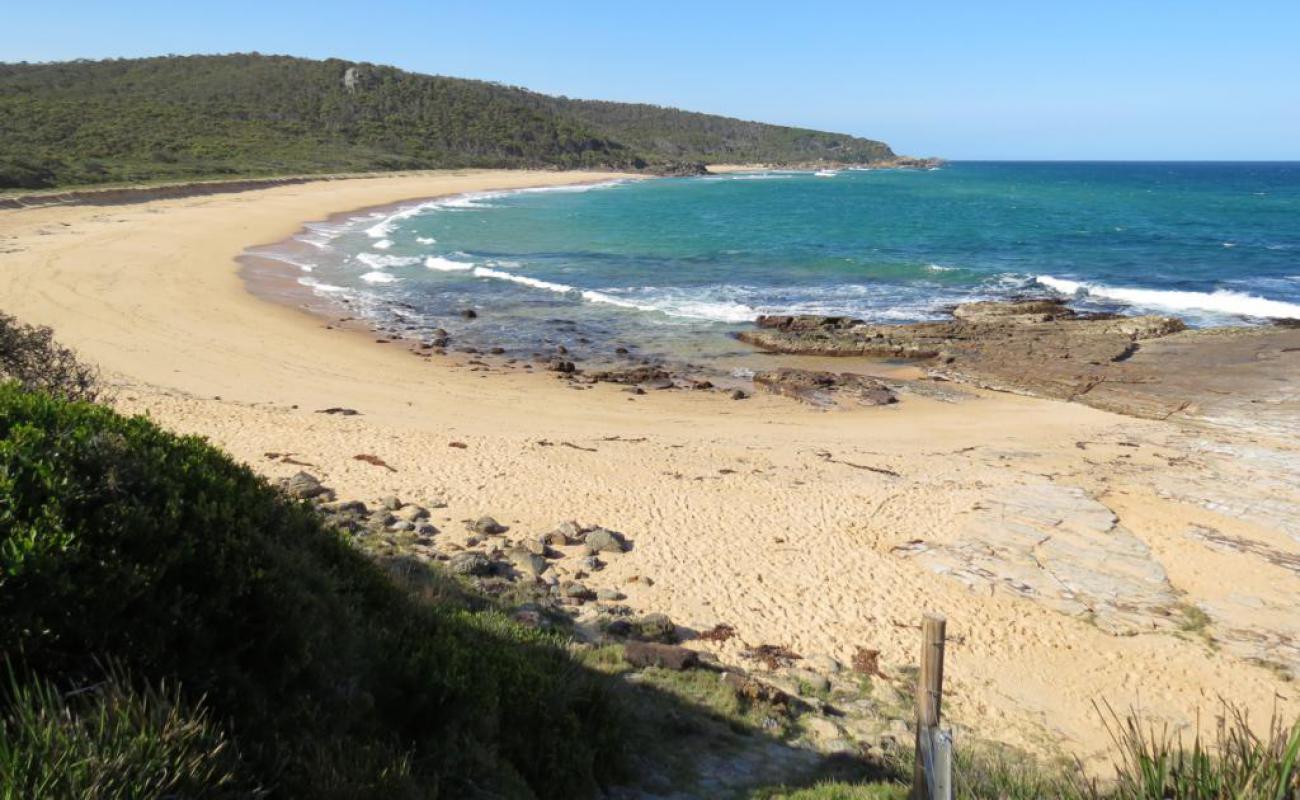 Foto af Picnic Beach med lys sand overflade