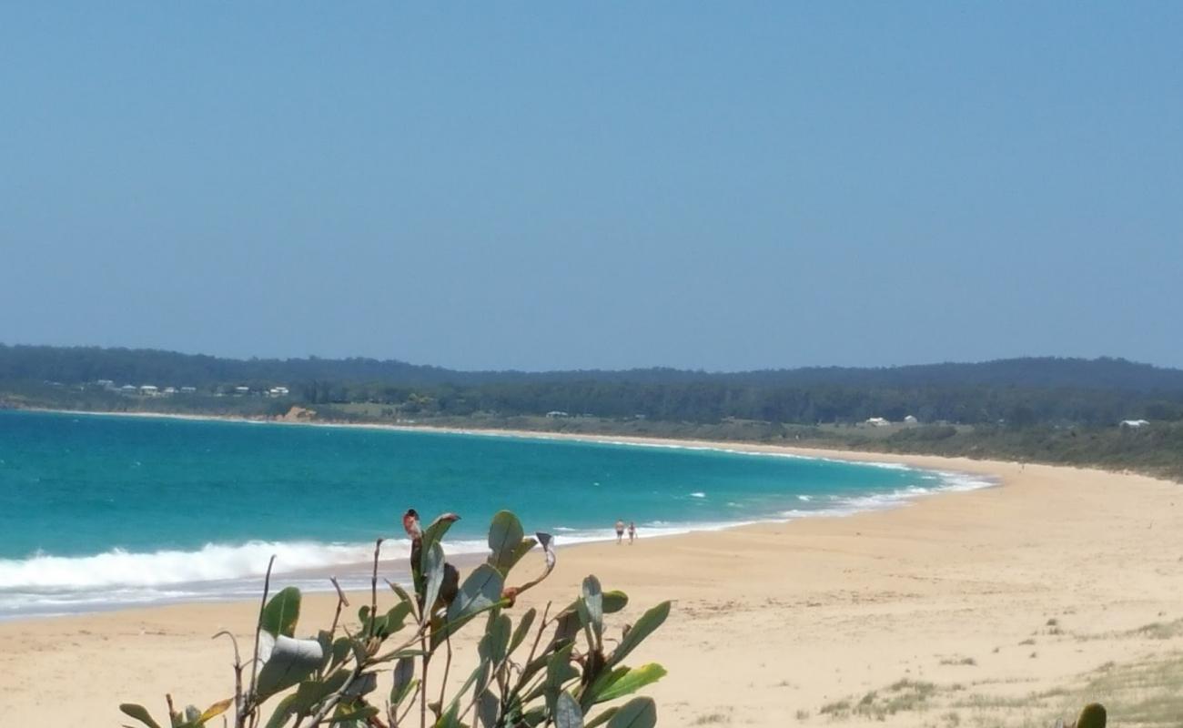 Foto af Wallaga Beach med lys sand overflade