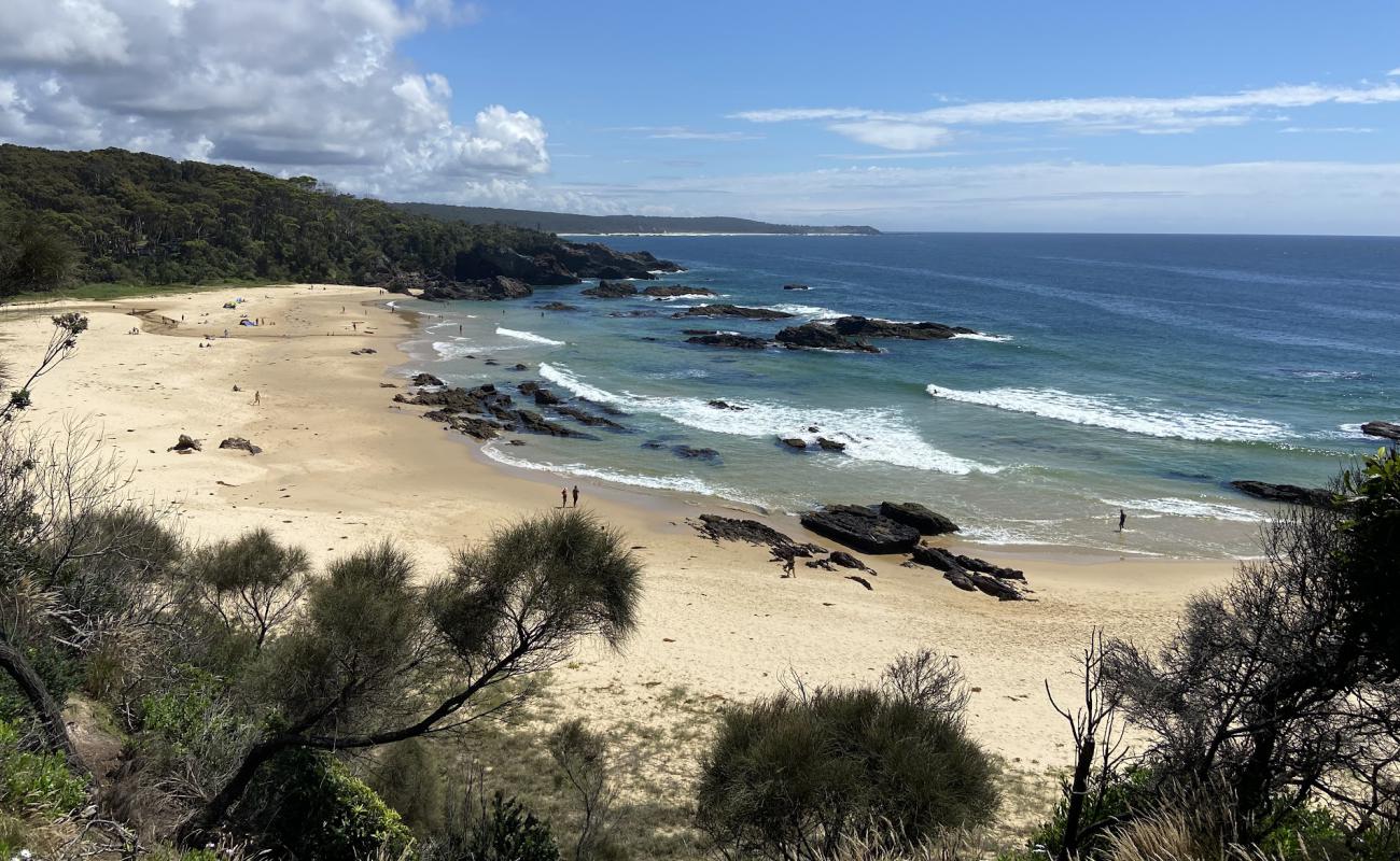 Foto af Mystery Bay Beach med lys sand overflade