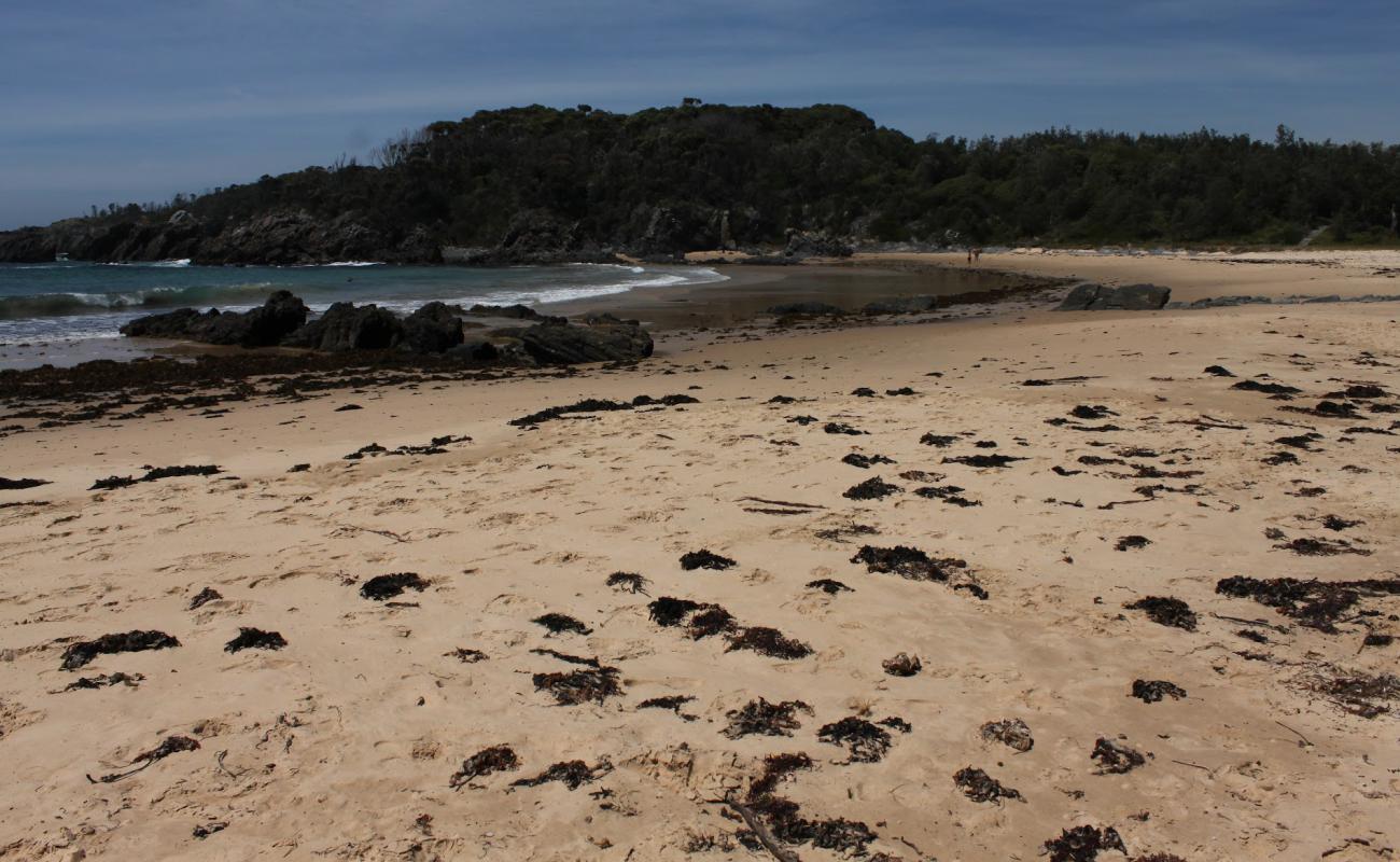 Foto af Mystery Beach med lys sand overflade