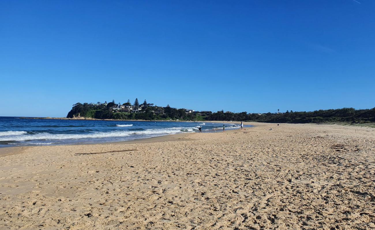 Foto af Potato Point Beach med lys sand overflade