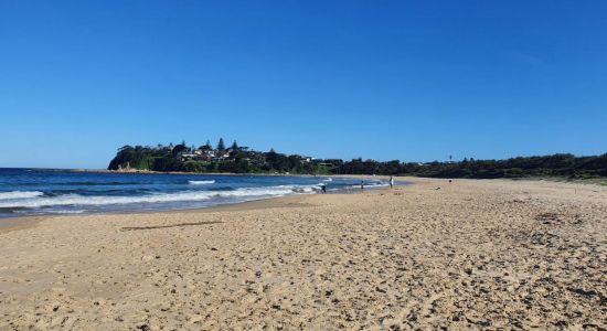 Potato Point Beach