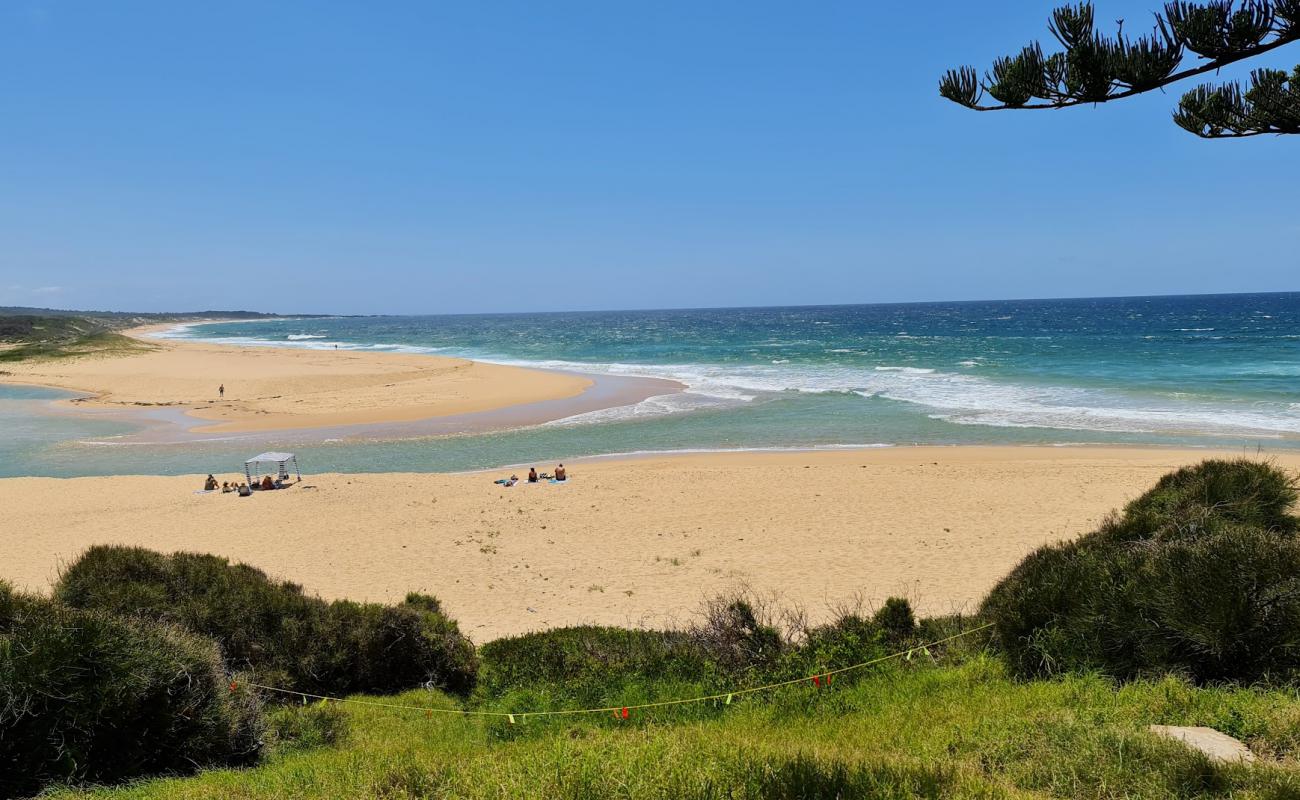 Foto af Bingie Beach med lys sand overflade