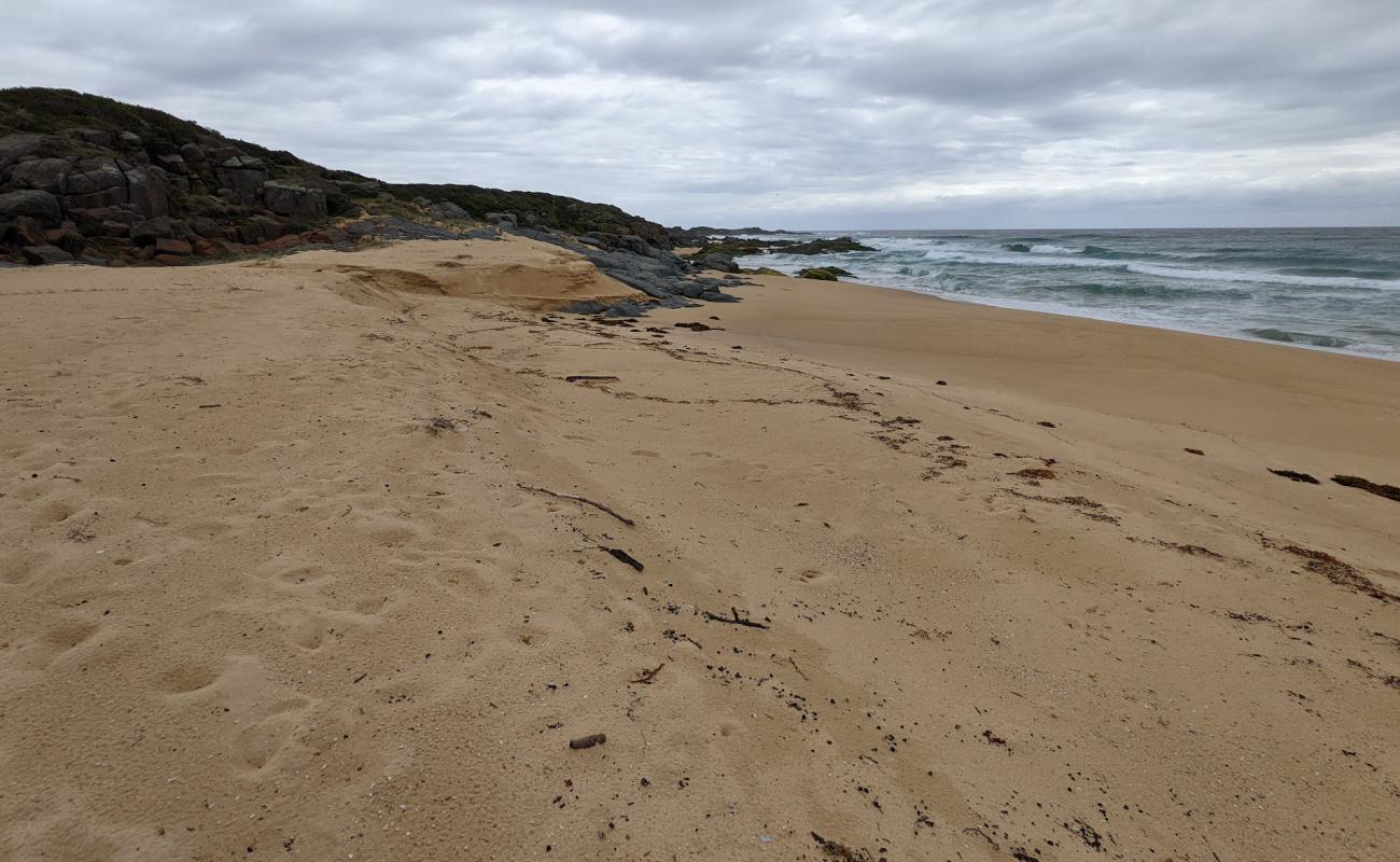 Foto af Coila Beach med lys sand overflade