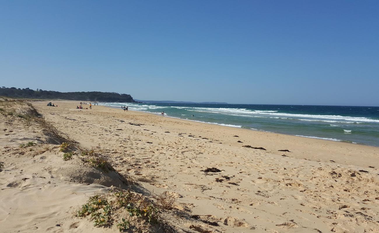 Foto af South Head Beach med lys sand overflade