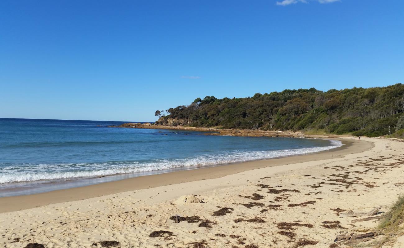 Foto af Shelly Beach med lys sand overflade