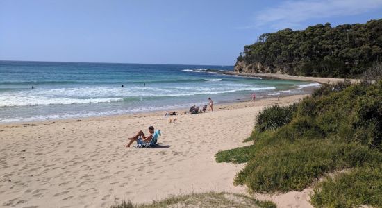 Mckenzies Beach